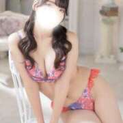 ヒメ日記 2025/12/03 07:23 投稿 つき 妖精（ようせい）