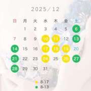 ヒメ日記 2025/12/04 17:45 投稿 つき 妖精（ようせい）