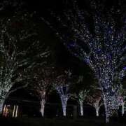 ヒメ日記 2025/11/27 00:17 投稿 てまり Grace東京