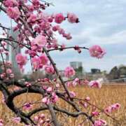 てまり おさんぽ Grace東京