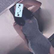 てまり あっという間 Grace東京