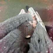 ヒメ日記 2026/02/02 01:31 投稿 本城あゆみ 池袋㊙エステ～フル勃起～