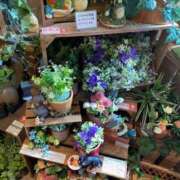 ヒメ日記 2026/02/12 05:47 投稿 じゅん ハピネス東京