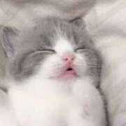 ヒメ日記 2026/02/16 11:40 投稿 じゅん ハピネス東京