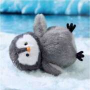 ヒメ日記 2026/02/25 05:57 投稿 じゅん ハピネス東京