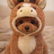 ヒメ日記 2026/03/01 17:57 投稿 じゅん ハピネス東京