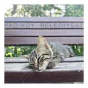 ヒメ日記 2025/11/08 08:32 投稿 かりな ファーストレディ(博多)