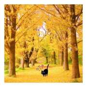 ヒメ日記 2025/11/08 17:10 投稿 かりな ファーストレディ(博多)