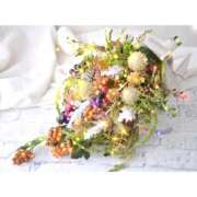 ヒメ日記 2025/11/14 19:52 投稿 かりな ファーストレディ(博多)