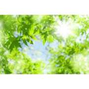 ヒメ日記 2025/11/21 06:42 投稿 かりな ファーストレディ(博多)