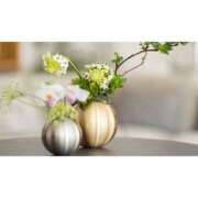 ヒメ日記 2025/11/22 07:22 投稿 かりな ファーストレディ(博多)