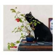 ヒメ日記 2025/11/28 08:23 投稿 かりな ファーストレディ(博多)