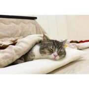 ヒメ日記 2025/12/01 18:34 投稿 かりな ファーストレディ(博多)