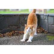 ヒメ日記 2025/12/06 08:02 投稿 かりな ファーストレディ(博多)