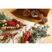 ヒメ日記 2025/12/12 08:22 投稿 かりな ファーストレディ(博多)