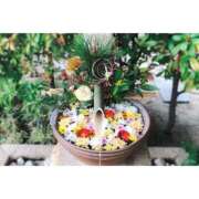 ヒメ日記 2026/01/07 08:32 投稿 かりな ファーストレディ(博多)