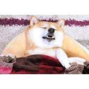 かりな 2ヶ月記念日💝 ファーストレディ(博多)