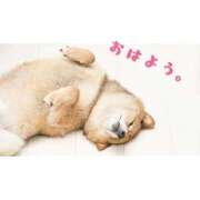 ヒメ日記 2026/03/14 08:58 投稿 かりな ファーストレディ(博多)