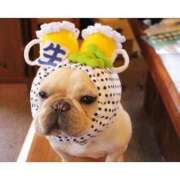 ヒメ日記 2026/03/15 18:30 投稿 かりな ファーストレディ(博多)