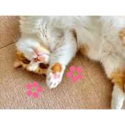 ヒメ日記 2026/03/22 09:02 投稿 かりな ファーストレディ(博多)