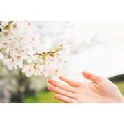 ヒメ日記 2026/04/02 08:32 投稿 かりな ファーストレディ(博多)