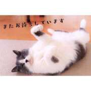 ヒメ日記 2026/04/09 23:42 投稿 かりな ファーストレディ(博多)