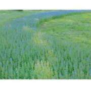 ヒメ日記 2025/11/05 19:57 投稿 ももな 東京メンズボディクリニックTMBC八王子店