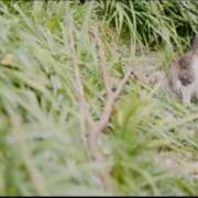 ヒメ日記 2025/11/15 20:01 投稿 ももな 東京メンズボディクリニックTMBC八王子店