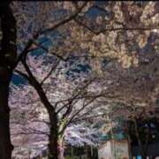 ヒメ日記 2026/02/07 19:17 投稿 ももな 東京メンズボディクリニックTMBC八王子店