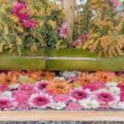 ヒメ日記 2026/02/19 11:18 投稿 ももな 東京メンズボディクリニックTMBC八王子店