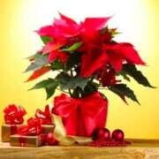 ヒメ日記 2025/12/08 11:18 投稿 南条玲子 プルデリR40