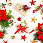 ヒメ日記 2025/12/21 13:15 投稿 南条玲子 プルデリR40