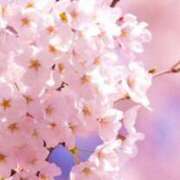 ヒメ日記 2026/04/13 23:00 投稿 南条玲子 プルデリR40