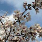 ヒメ日記 2026/04/02 18:10 投稿 ファッションモデル界の女『ジゼル グッドスマイル