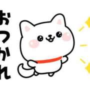 ヒメ日記 2025/11/27 21:46 投稿 まみ ぽちゃぶらんか金沢店（カサブランカグループ）