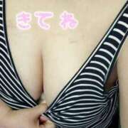ヒメ日記 2026/04/27 11:06 投稿 まみ ぽちゃぶらんか金沢店（カサブランカグループ）