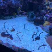 ヒメ日記 2026/01/28 21:34 投稿 楽-らく【FG系列】 ほんとうの人妻　柏店