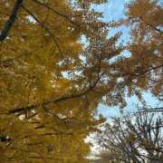 ヒメ日記 2025/11/26 13:22 投稿 なつき the SPA KADOEBI