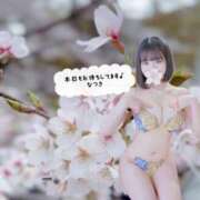 ヒメ日記 2026/03/31 12:22 投稿 なつき the SPA KADOEBI