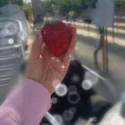 ヒメ日記 2026/04/01 15:42 投稿 なつき the SPA KADOEBI