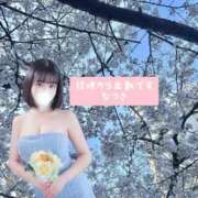 ヒメ日記 2026/04/07 12:22 投稿 なつき the SPA KADOEBI