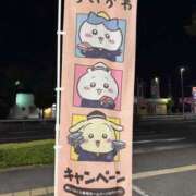 ヒメ日記 2026/09/02 17:36 投稿 村上ほのか 五十路マダム　和歌山店