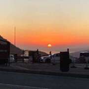 ヒメ日記 2025/12/17 13:20 投稿 ゆめの 無我（むが）