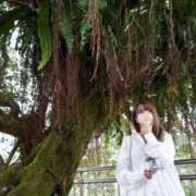 ヒメ日記 2025/11/27 09:12 投稿 レモン マリン千姫