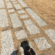 楠りあ 昨日の日記にトークでお返事くれたのが嬉しすぎた件 セカンドパートナー