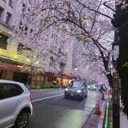 ヒメ日記 2026/02/24 23:10 投稿 楠りあ セカンドパートナー