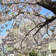 ヒメ日記 2026/04/06 11:10 投稿 楠りあ セカンドパートナー本店