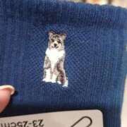 ヒメ日記 2026/03/11 20:43 投稿 吉浜こと THE痴漢電車.com