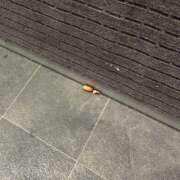 ヒメ日記 2025/11/07 14:03 投稿 こゆき 東京人妻セレブリティ（ユメオト）