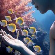 ヒメ日記 2025/11/15 22:46 投稿 こゆき 東京人妻セレブリティ（ユメオト）